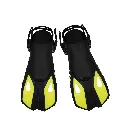yellow-palmes.webp