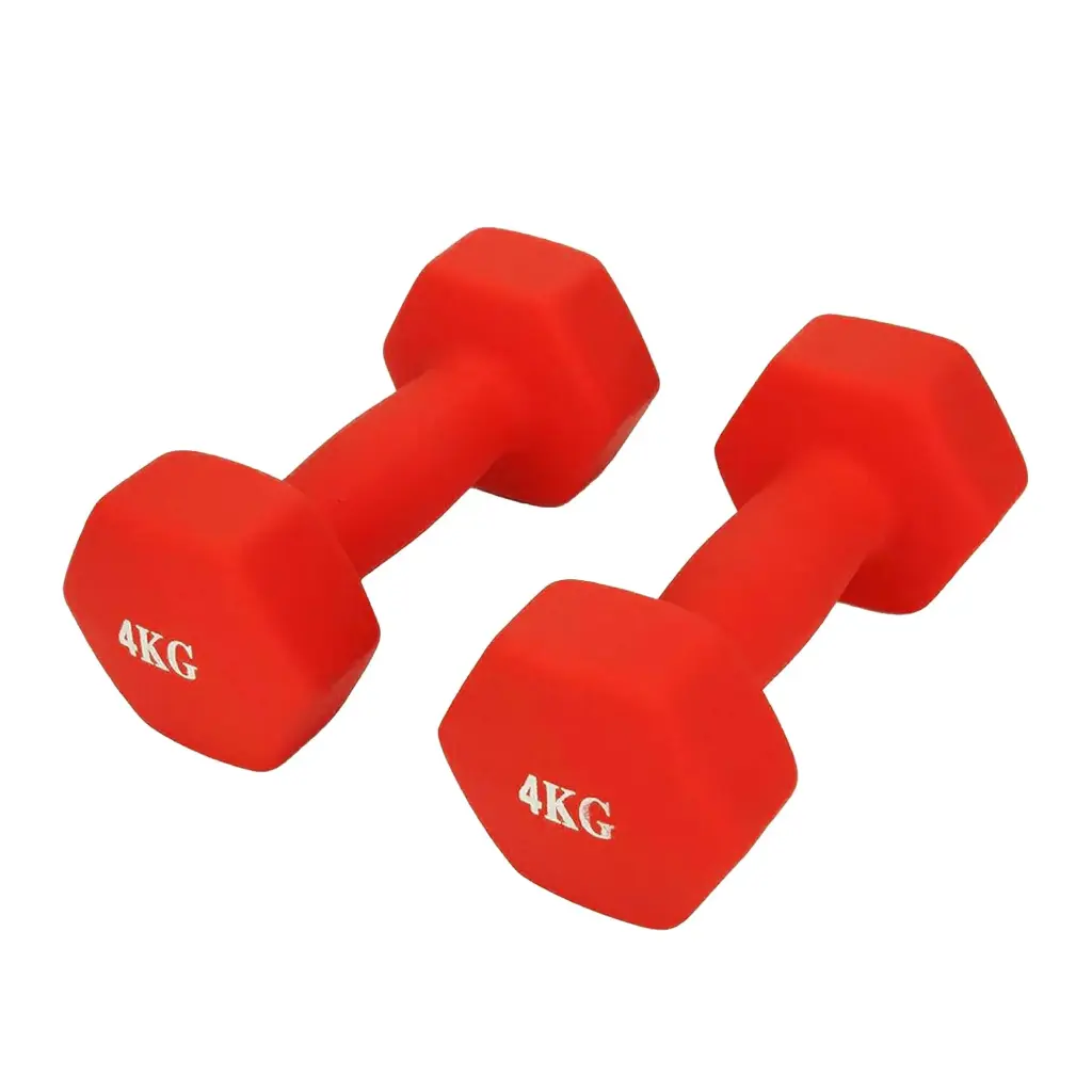 4kg Dumbells Set