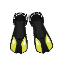 Swimming Fins
