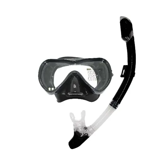 [N80] SEALS Pro Dry-Top Snorkel and Mask Set