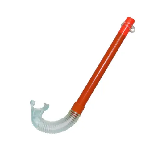 Snorkel